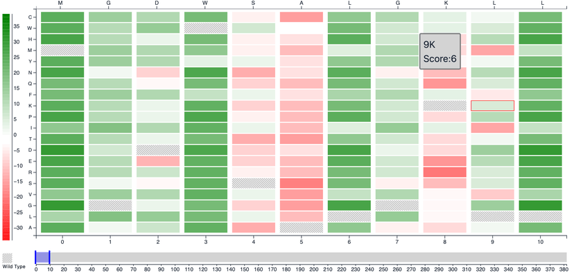 Picture of the author